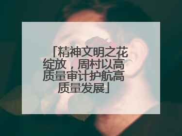 精神文明之花绽放，周村以高质量审计护航高质量发展