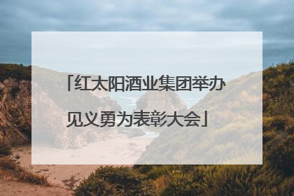 红太阳酒业集团举办见义勇为表彰大会