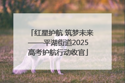 红星护航 筑梦未来——平湖街道2025高考护航行动收官