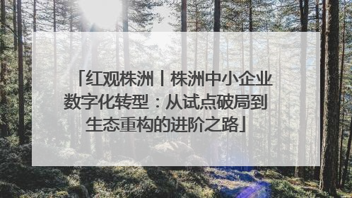 红观株洲丨株洲中小企业数字化转型：从试点破局到生态重构的进阶之路