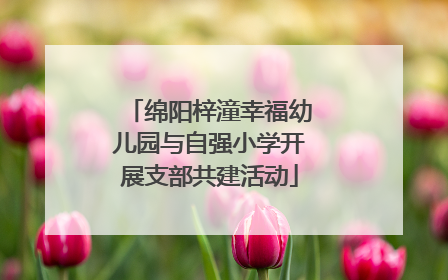 绵阳梓潼幸福幼儿园与自强小学开展支部共建活动