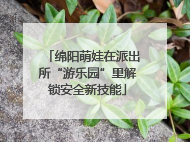 绵阳萌娃在派出所“游乐园”里解锁安全新技能