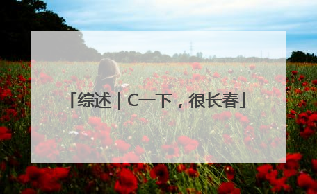综述｜C一下，很长春