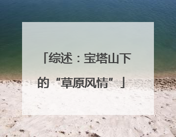 综述：宝塔山下的“草原风情”