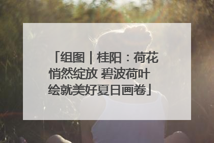 组图｜桂阳：荷花悄然绽放 碧波荷叶绘就美好夏日画卷