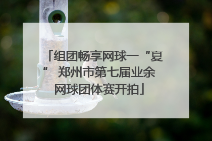 组团畅享网球一“夏” 郑州市第七届业余网球团体赛开拍