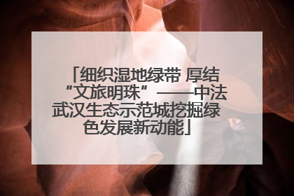 细织湿地绿带 厚结“文旅明珠”——中法武汉生态示范城挖掘绿色发展新动能