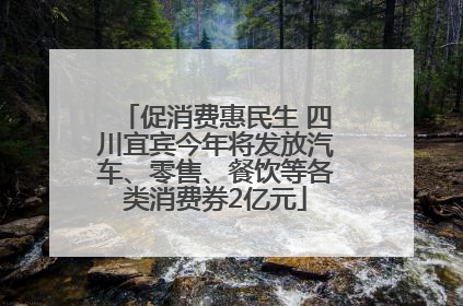 促消费惠民生 四川宜宾今年将发放汽车、零售、餐饮等各类消费券2亿元