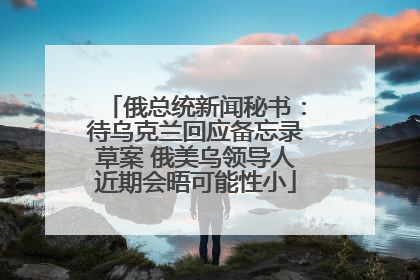 俄总统新闻秘书：待乌克兰回应备忘录草案 俄美乌领导人近期会晤可能性小