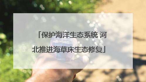 保护海洋生态系统 河北推进海草床生态修复