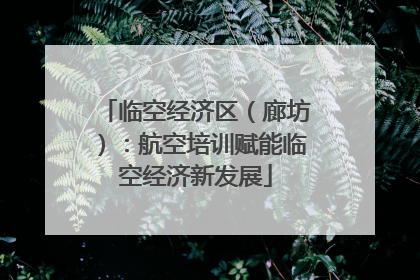 临空经济区（廊坊）：航空培训赋能临空经济新发展