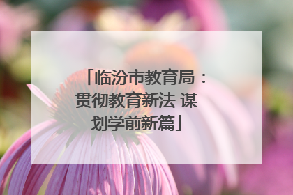 临汾市教育局：贯彻教育新法 谋划学前新篇