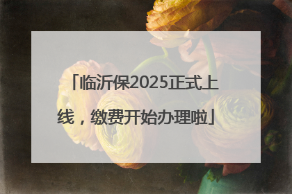 临沂保2025正式上线，缴费开始办理啦