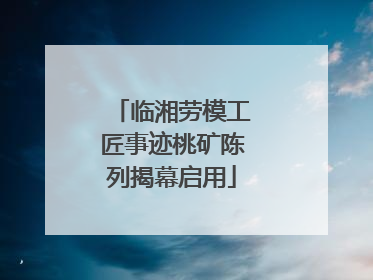 临湘劳模工匠事迹桃矿陈列揭幕启用