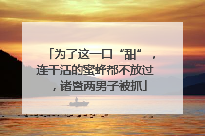 为了这一口“甜”，连干活的蜜蜂都不放过，诸暨两男子被抓