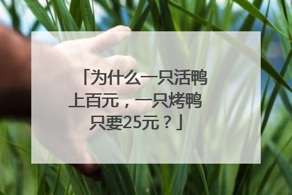 为什么一只活鸭上百元，一只烤鸭只要25元？
