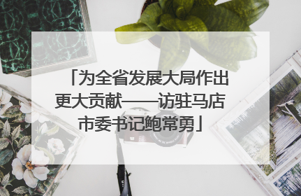 为全省发展大局作出更大贡献——访驻马店市委书记鲍常勇