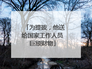 为提拔，他送给国家工作人员巨额财物