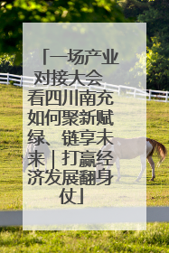 一场产业对接大会 看四川南充如何聚新赋绿、链享未来｜打赢经济发展翻身仗