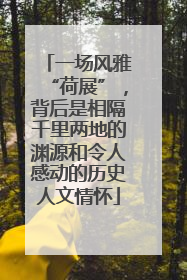 一场风雅“荷展”，背后是相隔千里两地的渊源和令人感动的历史人文情怀