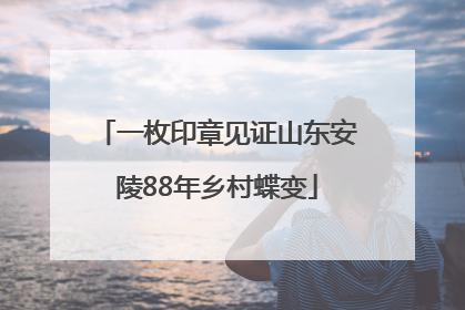一枚印章见证山东安陵88年乡村蝶变