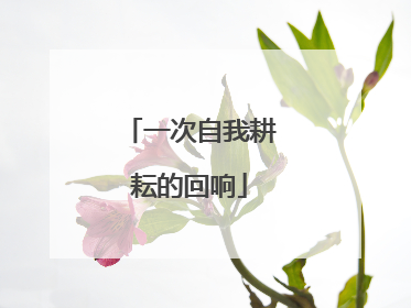一次自我耕耘的回响