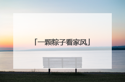 一颗粽子看家风