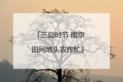 三夏时节 南京田间地头农作忙