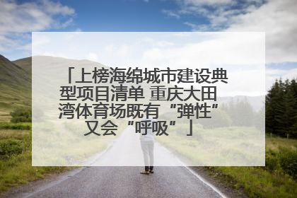 上榜海绵城市建设典型项目清单 重庆大田湾体育场既有“弹性”又会“呼吸”