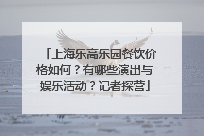 上海乐高乐园餐饮价格如何？有哪些演出与娱乐活动？记者探营
