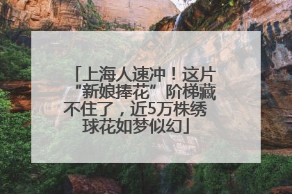 上海人速冲！这片“新娘捧花”阶梯藏不住了，近5万株绣球花如梦似幻