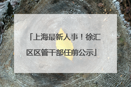 上海最新人事！徐汇区区管干部任前公示