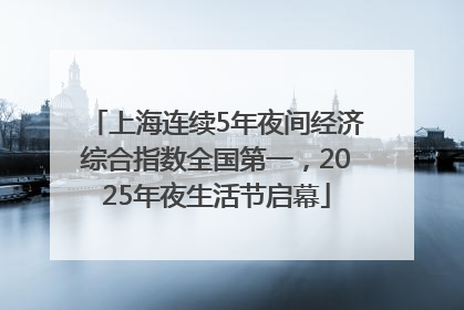 上海连续5年夜间经济综合指数全国第一，2025年夜生活节启幕
