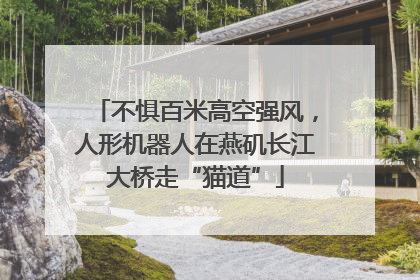 不惧百米高空强风，人形机器人在燕矶长江大桥走“猫道”