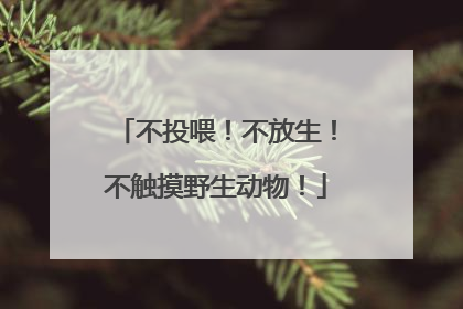 不投喂！不放生！不触摸野生动物！
