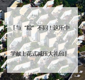 与“粽”不同！这所中学献上花式减压大礼包