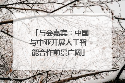 与会嘉宾：中国与中亚开展人工智能合作前景广阔