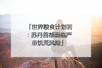 世界粮食计划署：苏丹首都面临严重饥荒风险