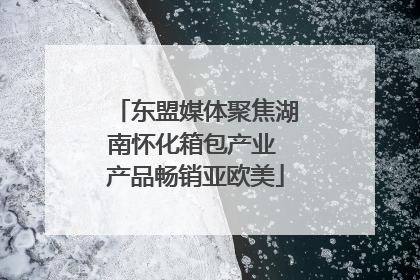 东盟媒体聚焦湖南怀化箱包产业 产品畅销亚欧美