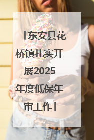 东安县花桥镇扎实开展2025年度低保年审工作