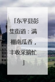 东平县彭集街道：满棚南瓜香，丰收采摘忙
