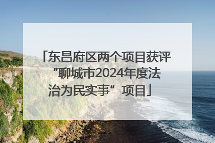 东昌府区两个项目获评“聊城市2024年度法治为民实事”项目