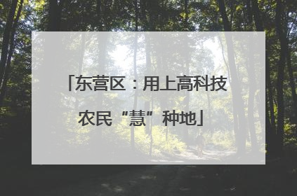 东营区：用上高科技 农民“慧”种地