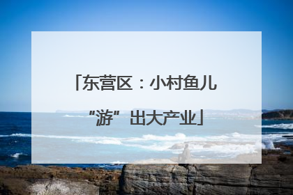 东营区：小村鱼儿“游”出大产业