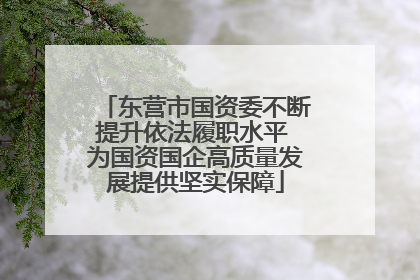 东营市国资委不断提升依法履职水平 为国资国企高质量发展提供坚实保障