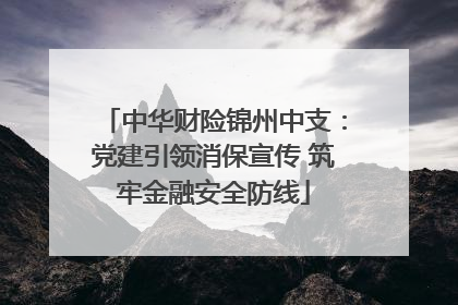 中华财险锦州中支：党建引领消保宣传 筑牢金融安全防线