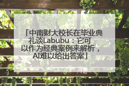 中南财大校长在毕业典礼谈Labubu：它可以作为经典案例来解析，AI难以给出答案