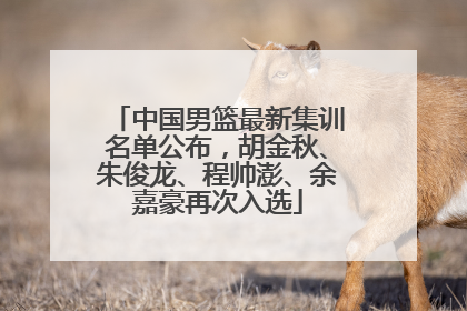 中国男篮最新集训名单公布，胡金秋、朱俊龙、程帅澎、余嘉豪再次入选