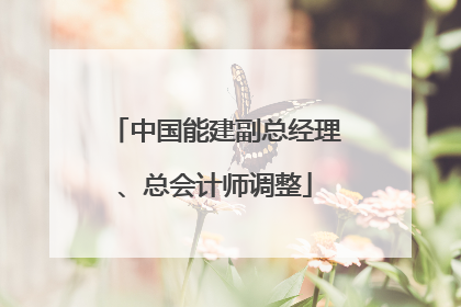 中国能建副总经理、总会计师调整