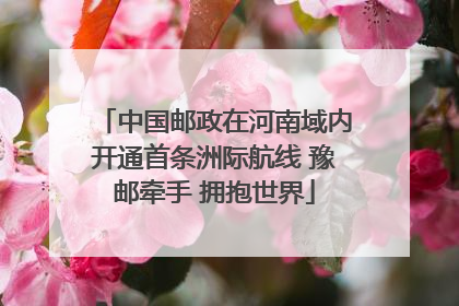 中国邮政在河南域内开通首条洲际航线 豫邮牵手 拥抱世界